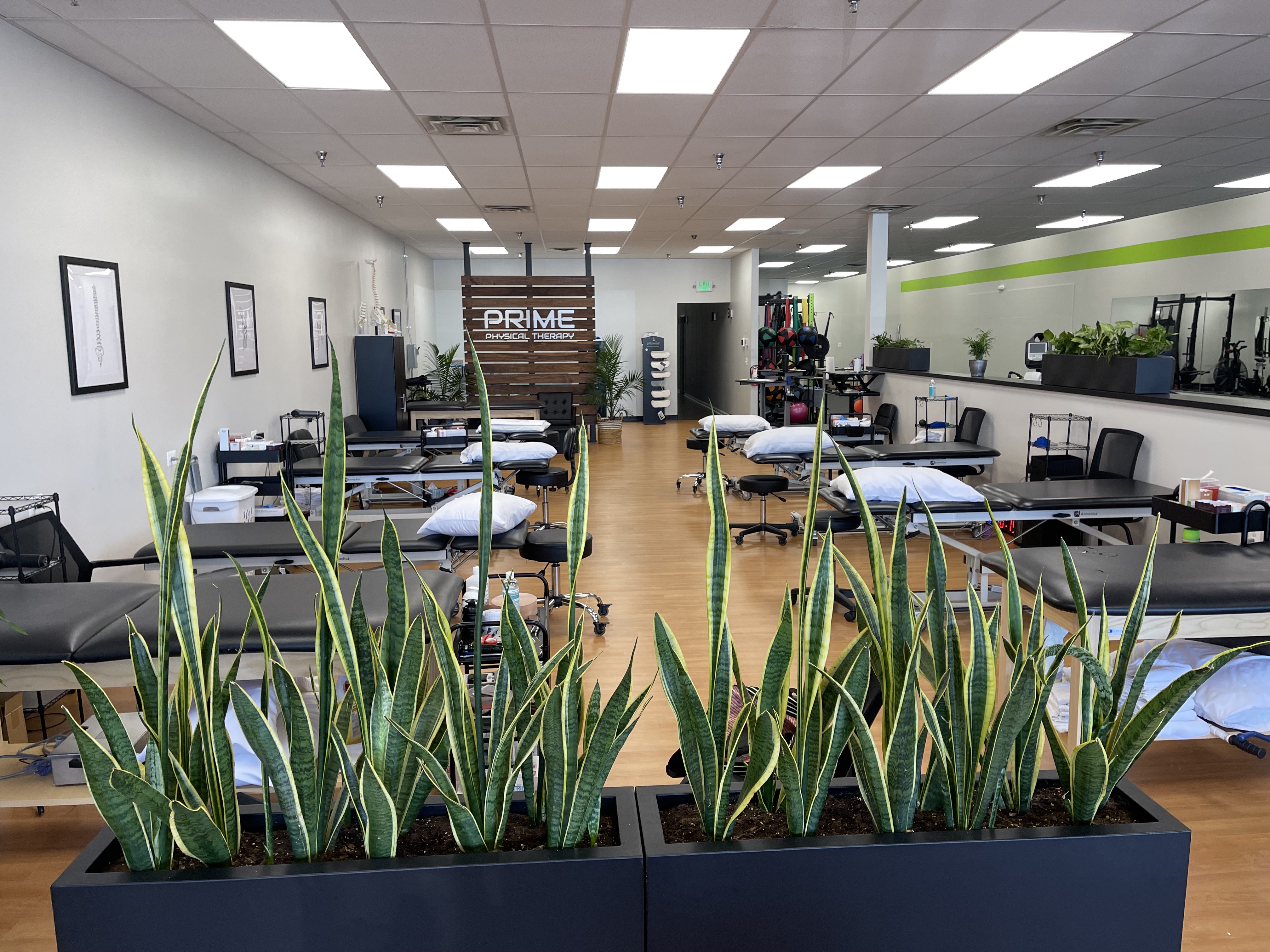 PRIME Physical Therapy clinic and gym with treatment tables, decorative plants, treatment equipment, and privacy wall for aqua therapy